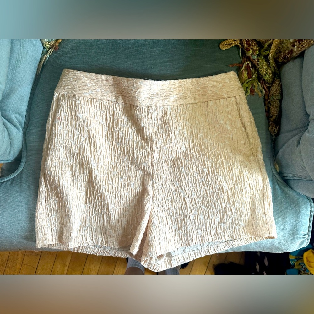 Express dress shorts